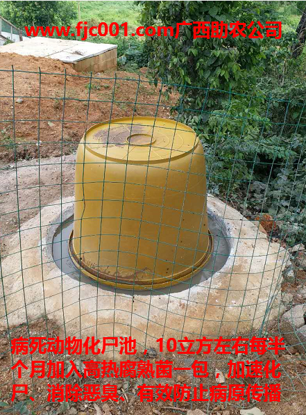 病死動(dòng)物化尸池.png